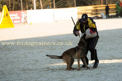 Schutzhund Dog Training Stick